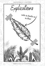 Herbier vierge à compléter pour feuilles , plantes et fleurs séchées - 97 pages Format 18 x 25 cm