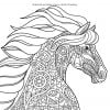 Coloriage Chevaux : 50 motifs merveilleux de chevaux à colorier pour enfants et adultes - 109 pages - 21,5 x 21,5 cm