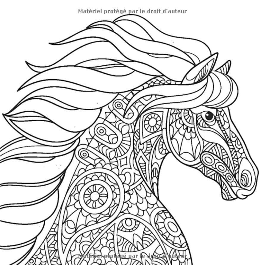 Coloriage Chevaux : 50 motifs merveilleux de chevaux à colorier pour enfants et adultes - 109 pages - 21,5 x 21,5 cm