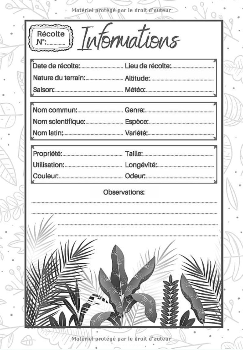 Herbier vierge à compléter pour feuilles , plantes et fleurs séchées - 97 pages Format 18 x 25 cm