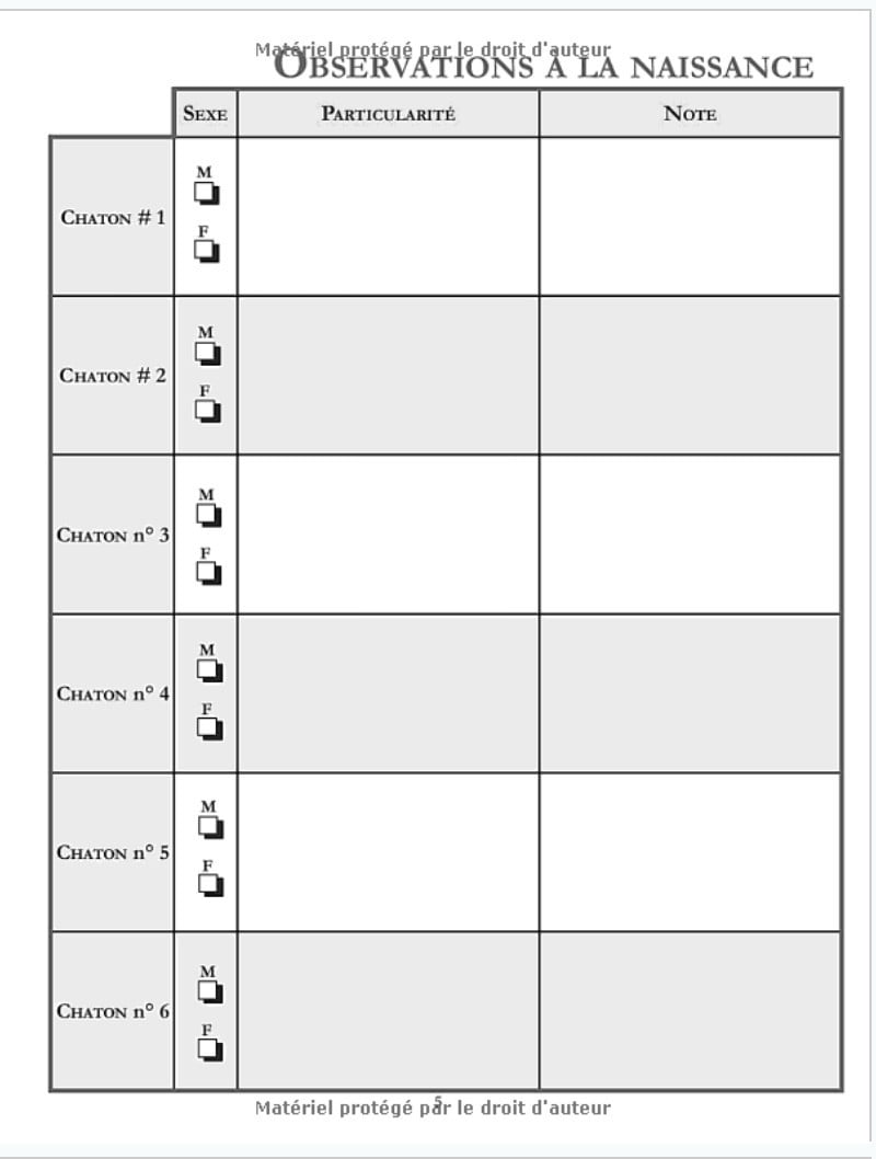 Registre des Naissances Pour Eleveurs Félin - 161 pages Format A4 - Fabriqué en France