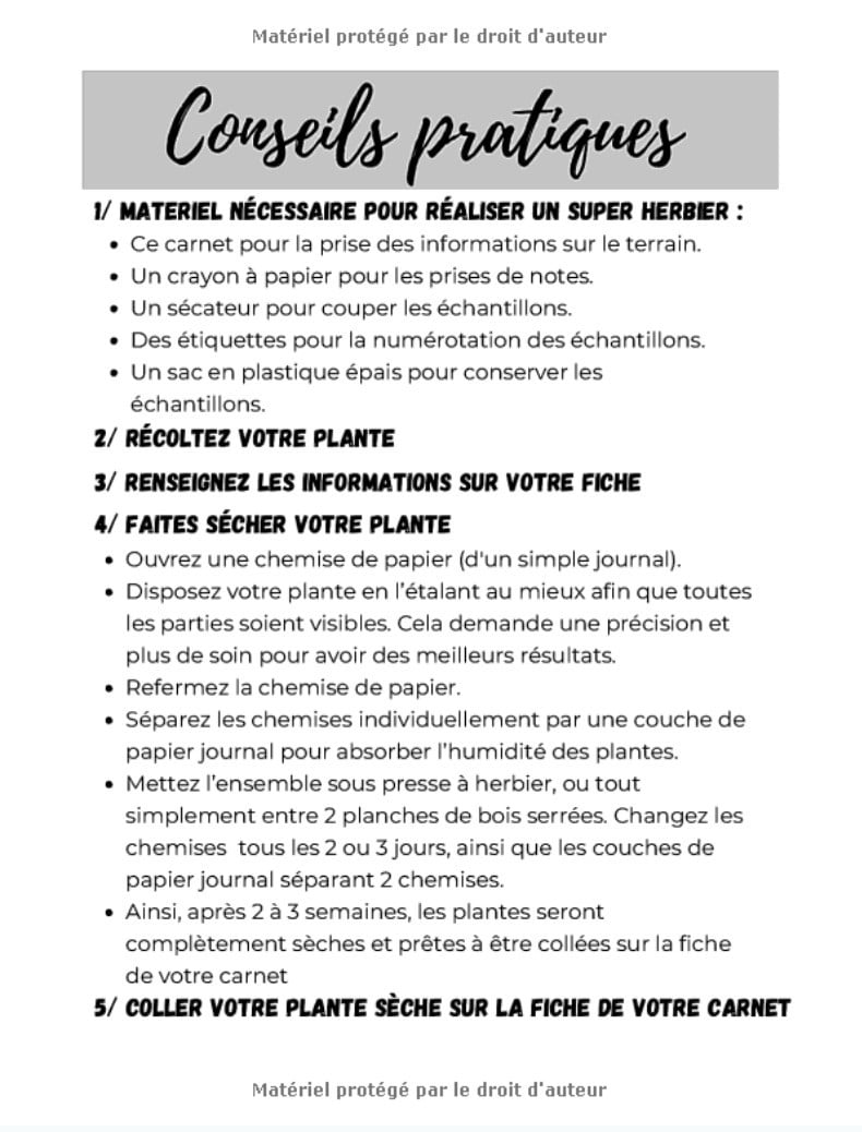 Herbier pour récolter et conserver vos feuilles, plantes et fleurs séchées - 105 pages Format A4