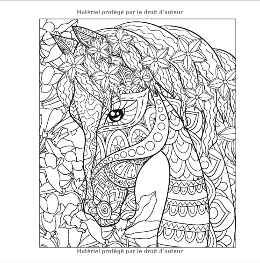 Coloriage Chevaux : 50 motifs merveilleux de chevaux à colorier pour enfants et adultes - 109 pages - 21,5 x 21,5 cm