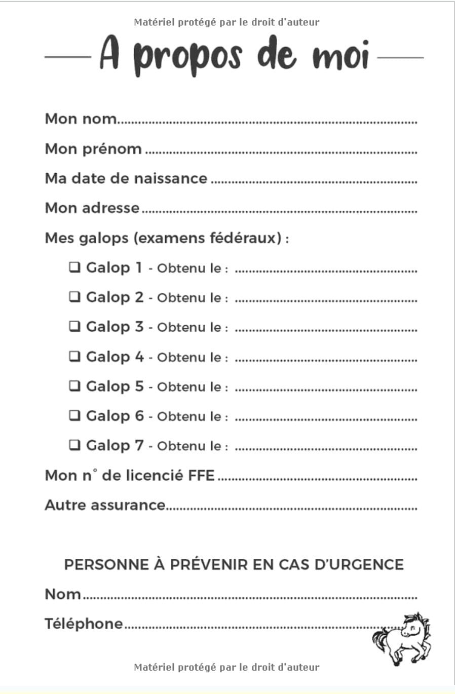 Carnet d'équitation à remplir pour enfant - Journal de Poney - 120 pages Format 15 x 22 cm