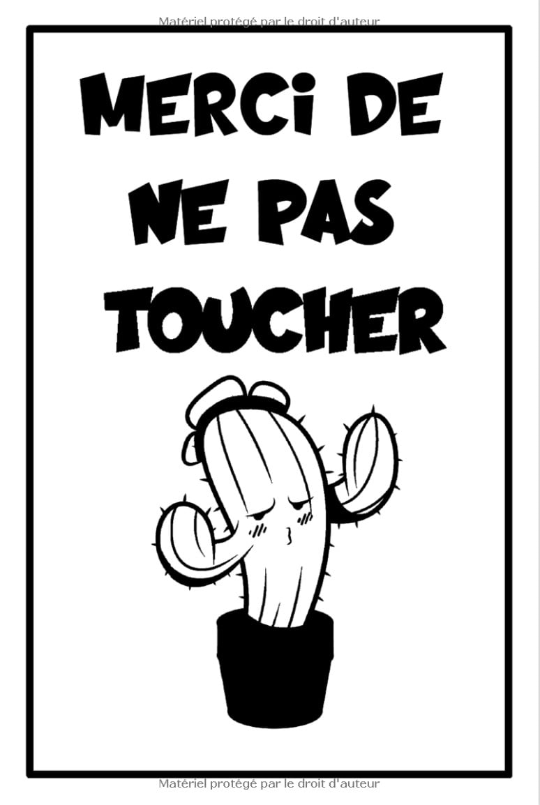 Cacher ou Déchirer ou Brûler Après Avoir Écrit Ce livre comprend des questions intimes sur vous - 60 pages - 15 x 22 cm