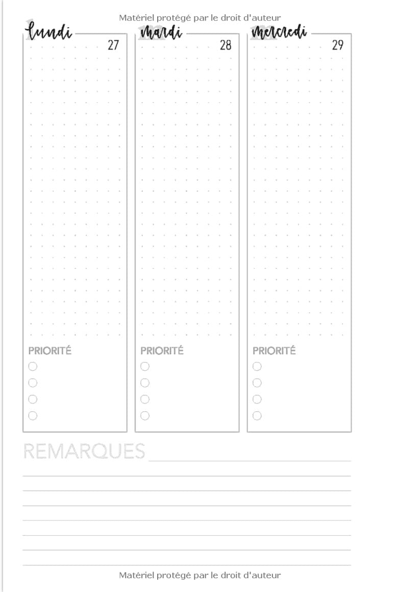 Agenda 2022 Petite fourmi travailleuse Carnet semainier & journalier, calendrier année civile 4296 - 136 pages - Format 15x22cm