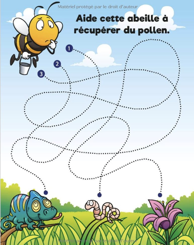 Labyrinthe enfants 3-5 ans Livre en couleur | Des Labyrinthes d'animaux divertissants | Un livre enfant +3 ans éducatif pour les touts petit - 40 pages format A4