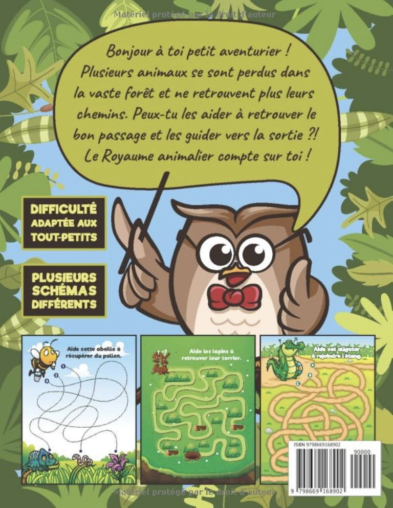 Labyrinthe enfants 3-5 ans Livre en couleur | Des Labyrinthes d'animaux divertissants | Un livre enfant +3 ans éducatif pour les touts petit - 40 pages format A4
