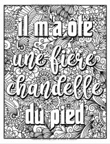 Livre de coloriage Adulte Anti stress Il ne faut pas remettre à plus tard ce qui appartient à César | Coloriage Adulte de Parodie de Proverbes - 68 pages A4