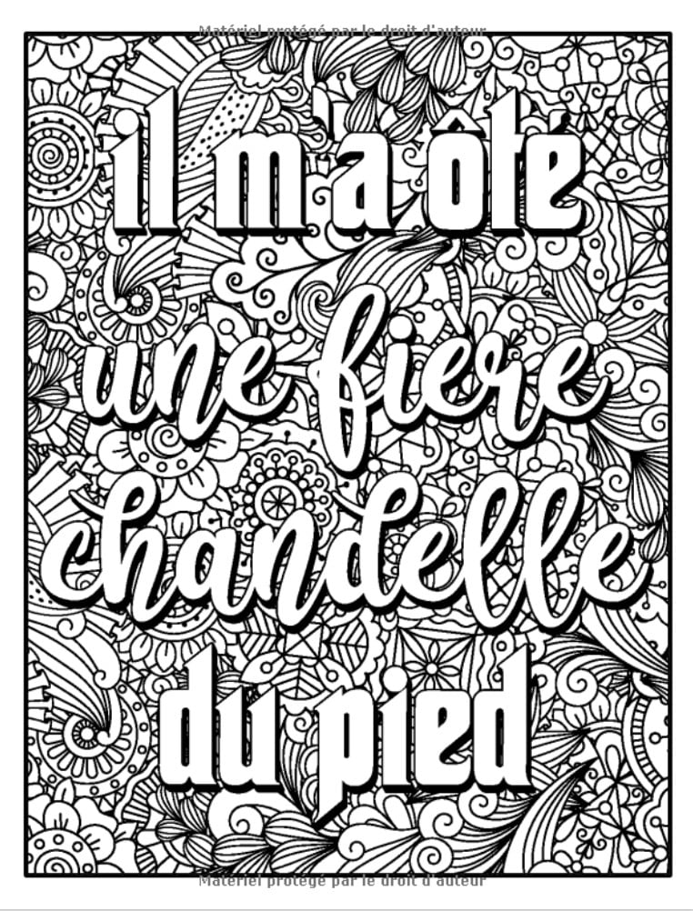 Livre de coloriage Adulte Anti stress Il ne faut pas remettre à plus tard ce qui appartient à César | Coloriage Adulte de Parodie de Proverbes - 68 pages A4