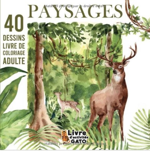 Amazon.fr - Livre de Coloriage adulte Paysage 40 Paysages a colorier, Coloriage paysage adulte, Cahier de coloriage paysage - 81 pages 21,5x21,5cm
