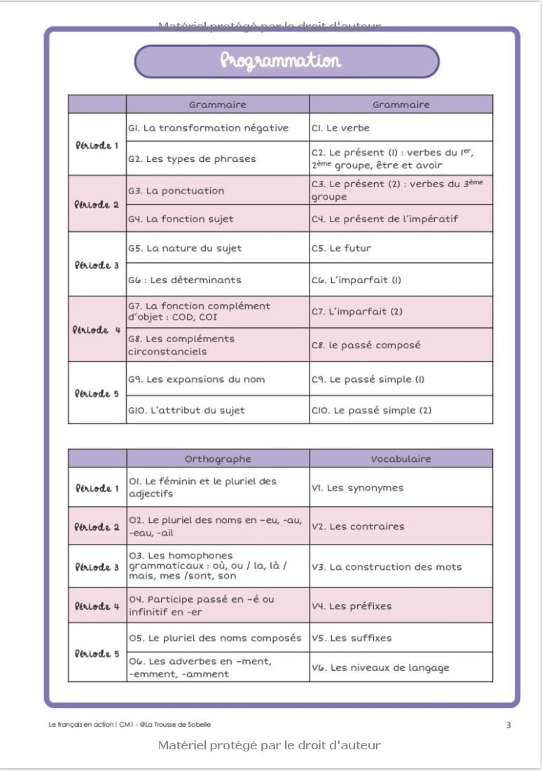 Le français en action ! Guide pédagogique CM1 - 49 pages Format A4