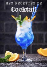 Recettes de cocktail Carnet de recettes de cocktails à remplir - Pour 90 recettes - 97 pages 18x25