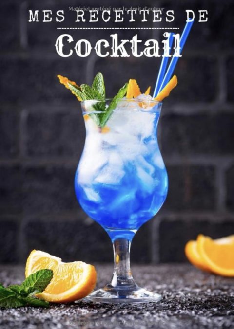 Recettes de cocktail Carnet de recettes de cocktails à remplir - Pour 90 recettes - 97 pages 18x25