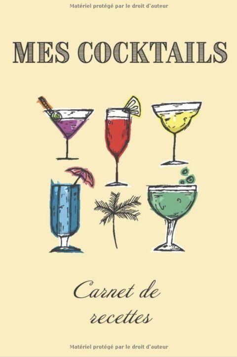 Cocktails Carnet de Recettes Livre de recettes et dégustations à compléter | Format 15,2 x 22,9 cm - 100 pages