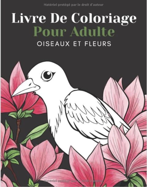 Livre De Coloriage Pour Adulte Oiseaux Et Fleurs Beaux Grands Dessins Faciles Pour Les Personnes Âgées Et Les Débutants - 102 pages A4
