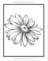 Livre De Coloriage Pour Adulte Oiseaux Et Fleurs Beaux Grands Dessins Faciles Pour Les Personnes Âgées Et Les Débutants - 102 pages A4