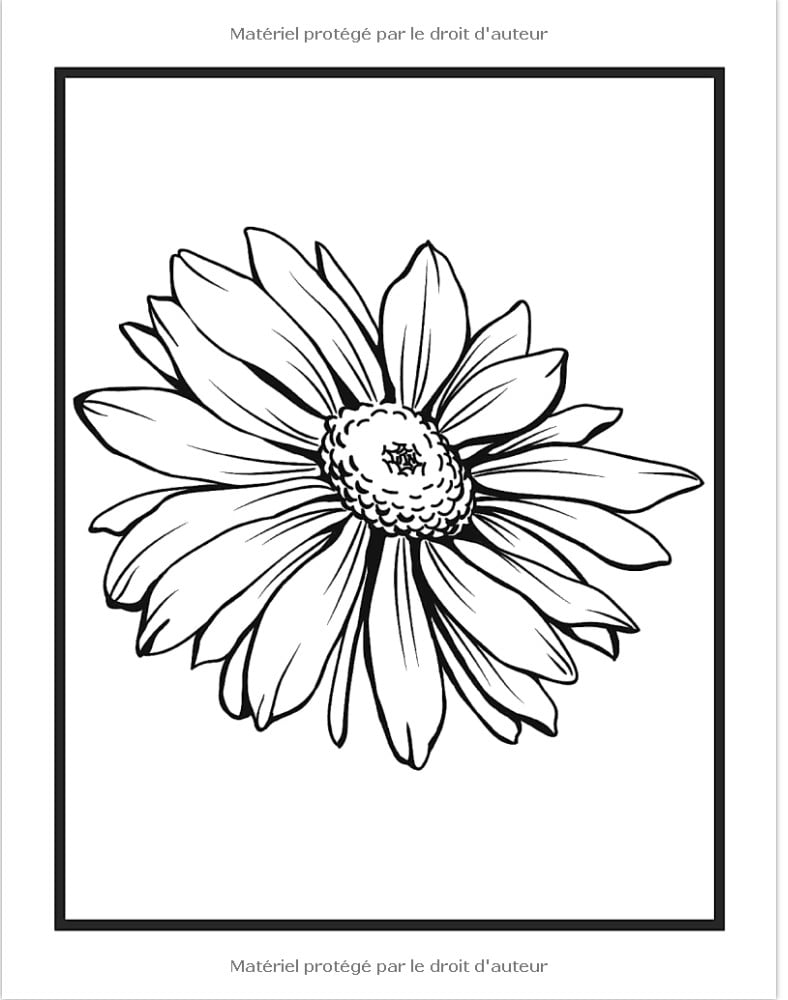 Livre De Coloriage Pour Adulte Oiseaux Et Fleurs Beaux Grands Dessins Faciles Pour Les Personnes Âgées Et Les Débutants - 102 pages A4