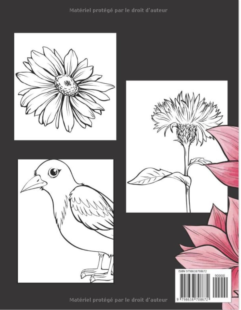 Livre De Coloriage Pour Adulte Oiseaux Et Fleurs Beaux Grands Dessins Faciles Pour Les Personnes Âgées Et Les Débutants - 102 pages A4