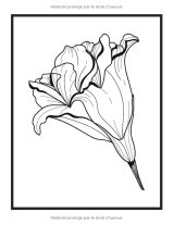 Livre De Coloriage Fleurs Et Desserts Pour Adulte Beaux Grands Dessins Faciles Pour Les Personnes Âgées Et Les Débutants - 102 pages A4