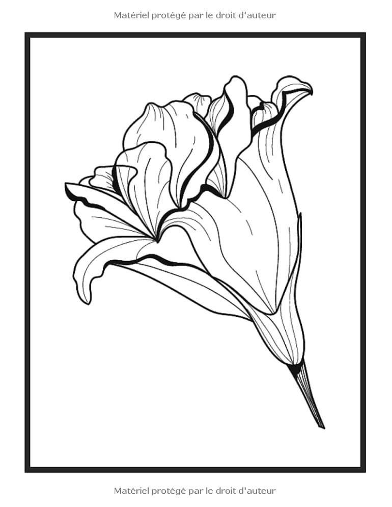 Livre De Coloriage Fleurs Et Desserts Pour Adulte Beaux Grands Dessins Faciles Pour Les Personnes Âgées Et Les Débutants - 102 pages A4