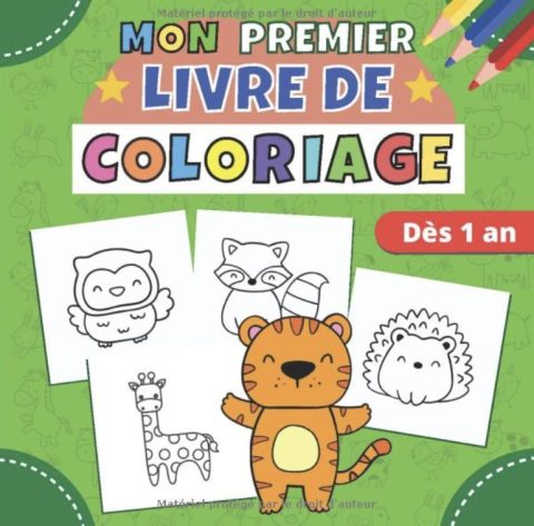 Mon premier livre de coloriage dès 1 an 12-18 mois jusqu'à 4 ans | 40 dessins d'animaux mignons à bord épais pour bébé | cahier coloriages enfant - 81 pages Format 21x21cm