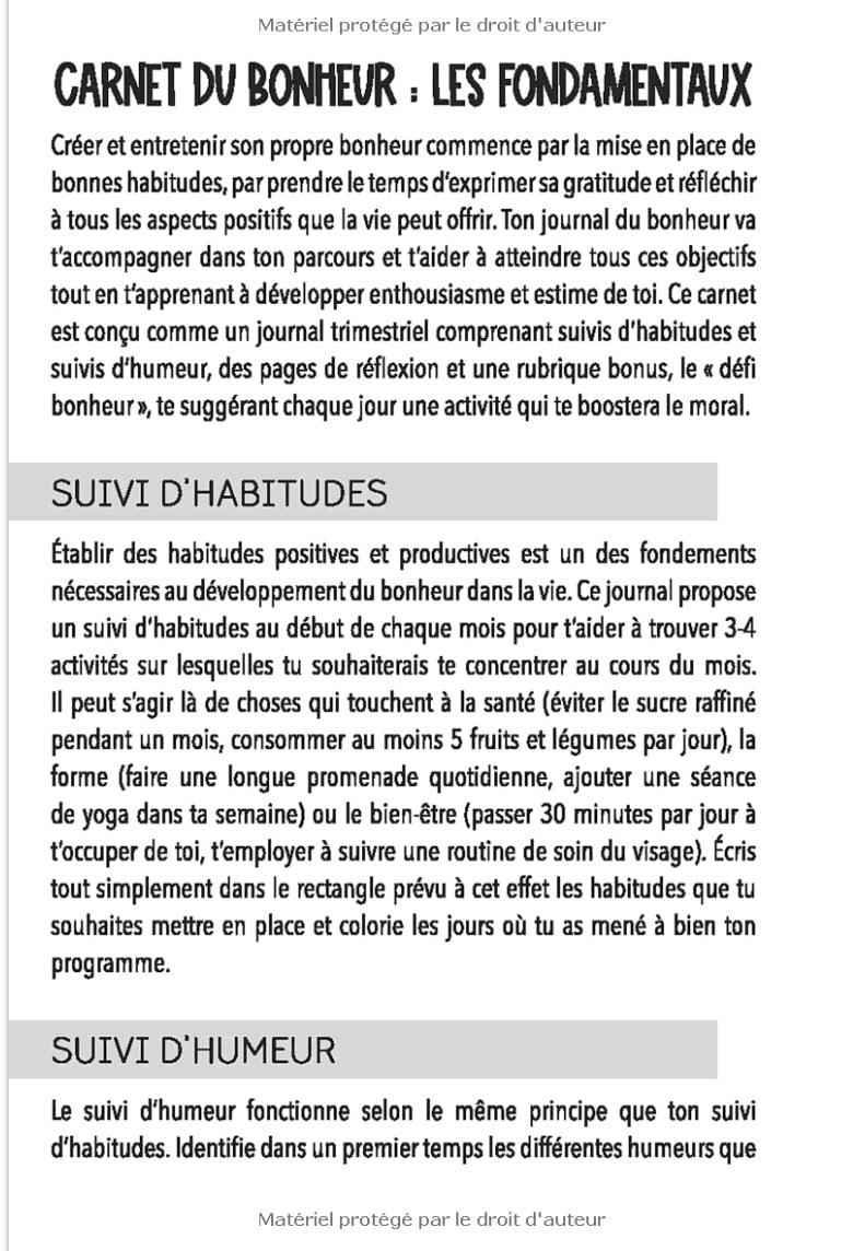 Aujourd'hui je choisis la joie - Carnet du bonheur - 102 pages 15x22cm