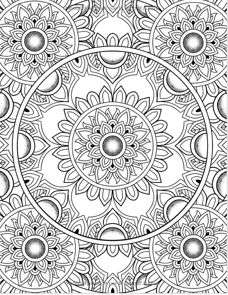 Mandalas Modèles relaxants à colorier dans le style du mandala. Livre de coloriage pour adultes - 102 pages Format A4
