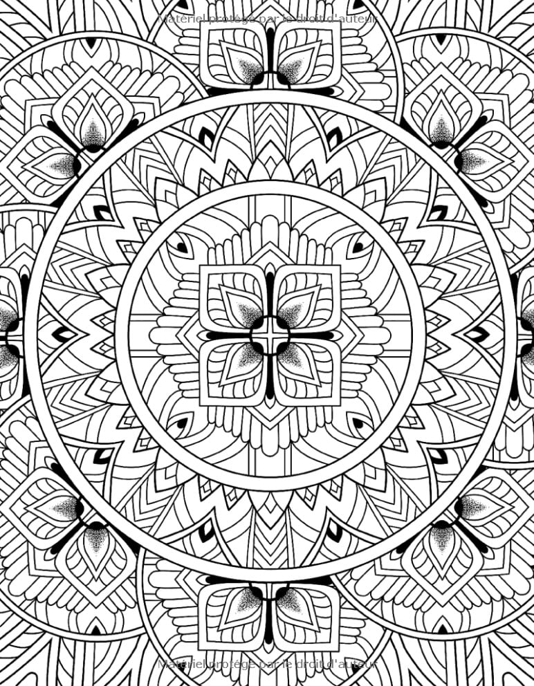 Mandalas Modèles relaxants à colorier dans le style du mandala. Livre de coloriage pour adultes - 102 pages Format A4