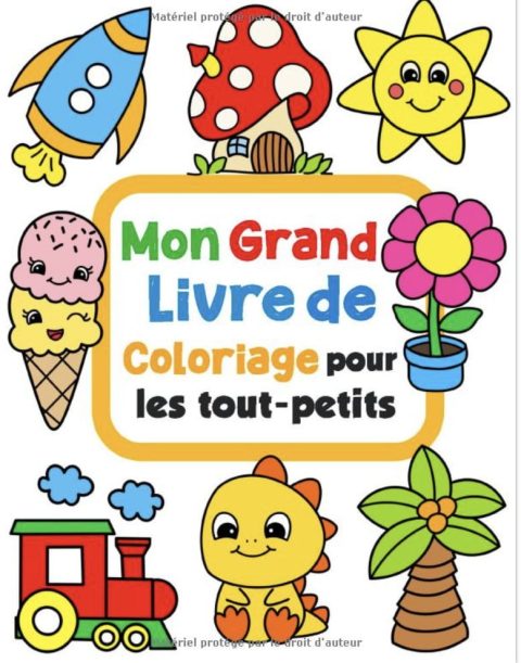 Grand Livre De Coloriage Pour Les Tout-Petits 100 dessins à colorier simples et amusantes pour les enfants de 1 à 4 ans - 102 Pages Format A4