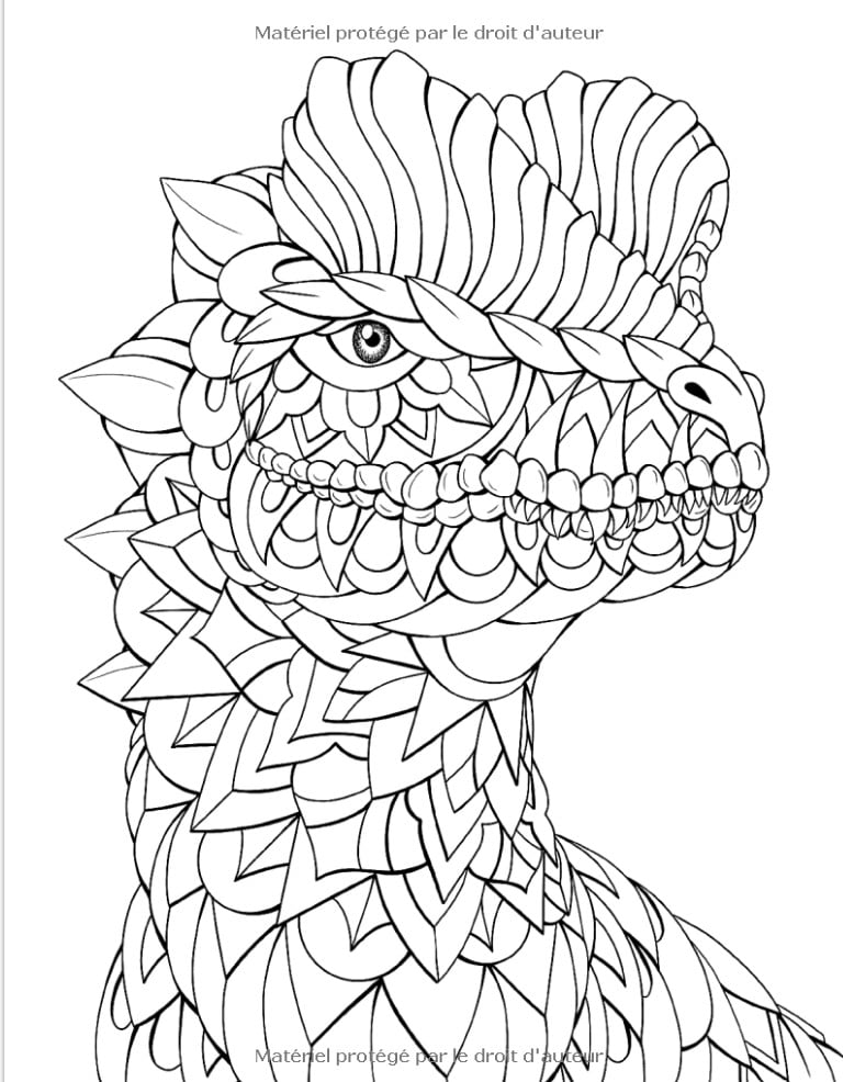 Dinosaures incroyables Livre de coloriage pour adultes avec des dinosaures avec des ornements. Animaux préhistoriques Monde - 102 pages Format A4