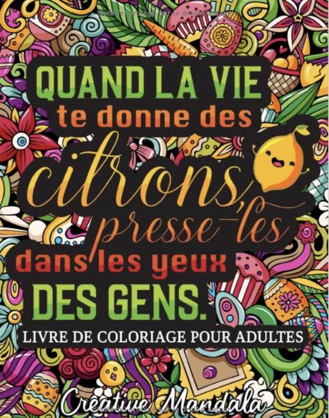 Quand la vie te donne des citrons, presse-les dans les yeux des gens Un livre de coloriage décalé pour adultes avec des phrases drôles et sarcastiques - 111 pages Format A4