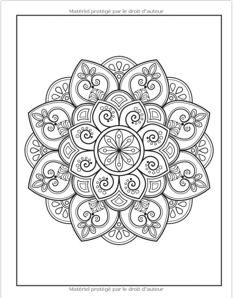 Mandalas Un livre de coloriage pour adultes avec magnifiques mandalas pour soulager le stress et se détendre - 111 pages Format A4