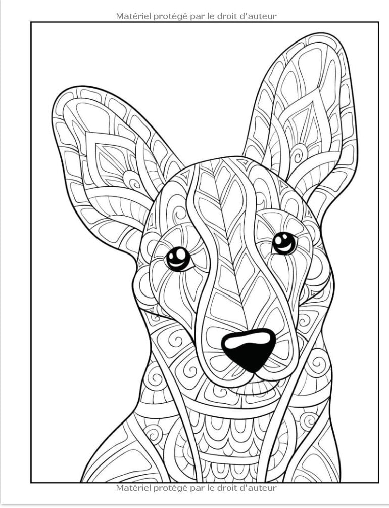 100 Chiens avec Mandalas Un livre de coloriage pour adultes avec de beaux et mignons chiens pour soulager le stress et se détendre - 212 pages Format A4