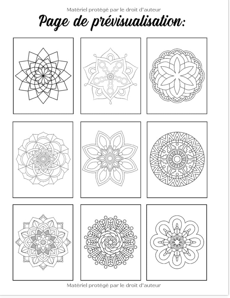 100 Mandalas Faciles Un livre de coloriage pour adultes et débutants avec des mandalas amusants, faciles et relaxants dans divers styles - 211 pages Format A4