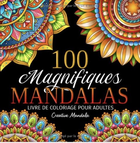 100 Magnifiques Mandalas Livre de coloriage pour adultes - Coloriages anti-stress - 211 pages 21x21cm