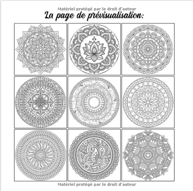 100 Magnifiques Mandalas Livre de coloriage pour adultes - Coloriages anti-stress - 211 pages 21x21cm