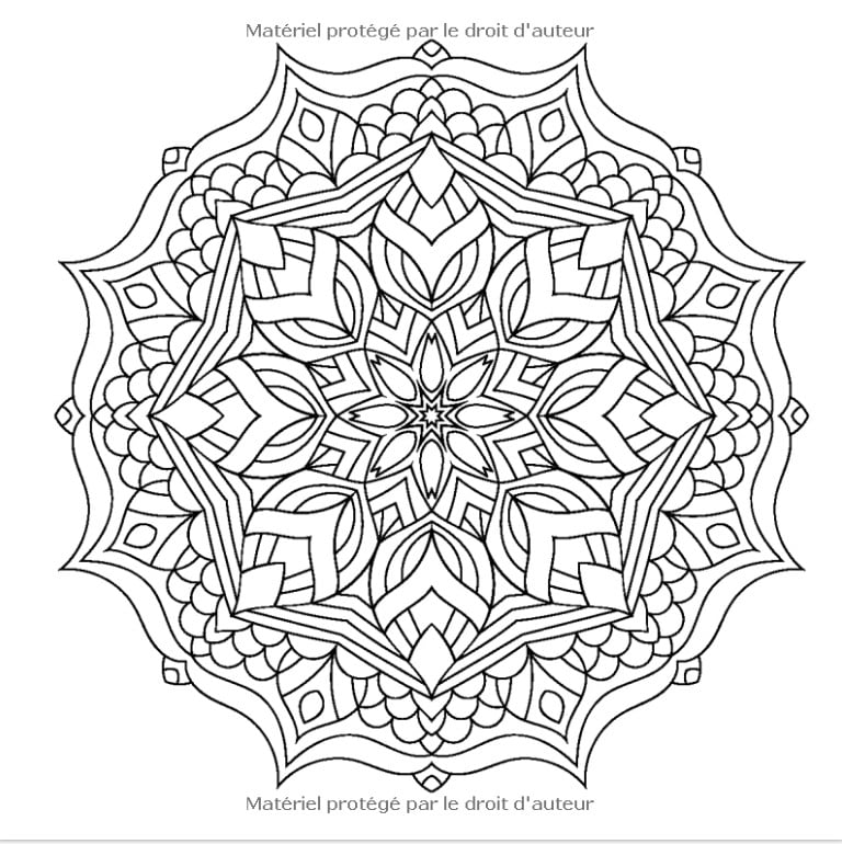 100 Magnifiques Mandalas Livre de coloriage pour adultes - Coloriages anti-stress - 211 pages 21x21cm