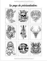 100 Tatouages - Livre de Coloriage pour Adultes 100 pages à colorier avec de beaux tatouages (crânes, femmes, dragons, fleurs...) -211 pages Format A4