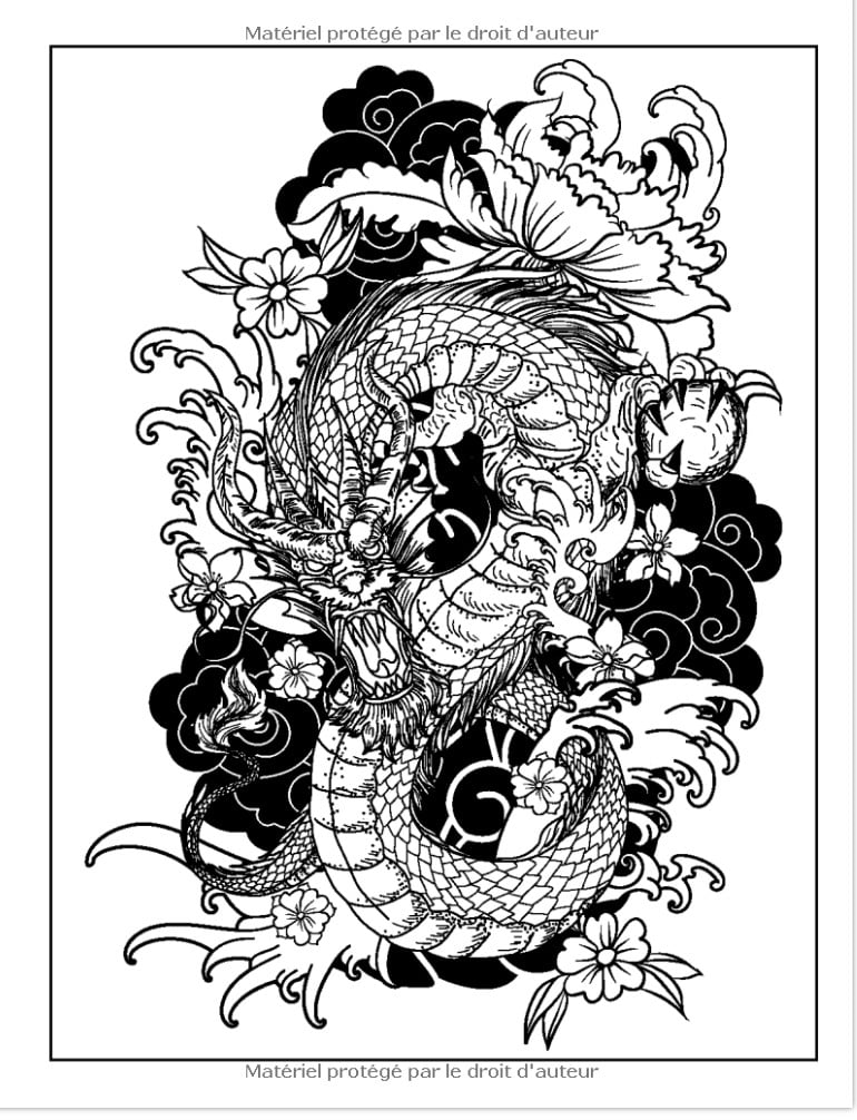 100 Tatouages - Livre de Coloriage pour Adultes 100 pages à colorier avec de beaux tatouages (crânes, femmes, dragons, fleurs...) -211 pages Format A4