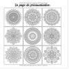 100 Magnifiques Mandalas - Livre de Coloriage pour Adultes 100 Beaux Mandalas à Colorier pour se Détendre - 211 pages Format 21x21cm