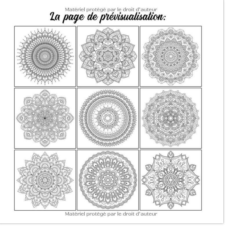 100 Magnifiques Mandalas - Livre de Coloriage pour Adultes 100 Beaux Mandalas à Colorier pour se Détendre - 211 pages Format 21x21cm
