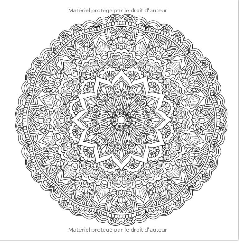 100 Magnifiques Mandalas - Livre de Coloriage pour Adultes 100 Beaux Mandalas à Colorier pour se Détendre - 211 pages Format 21x21cm