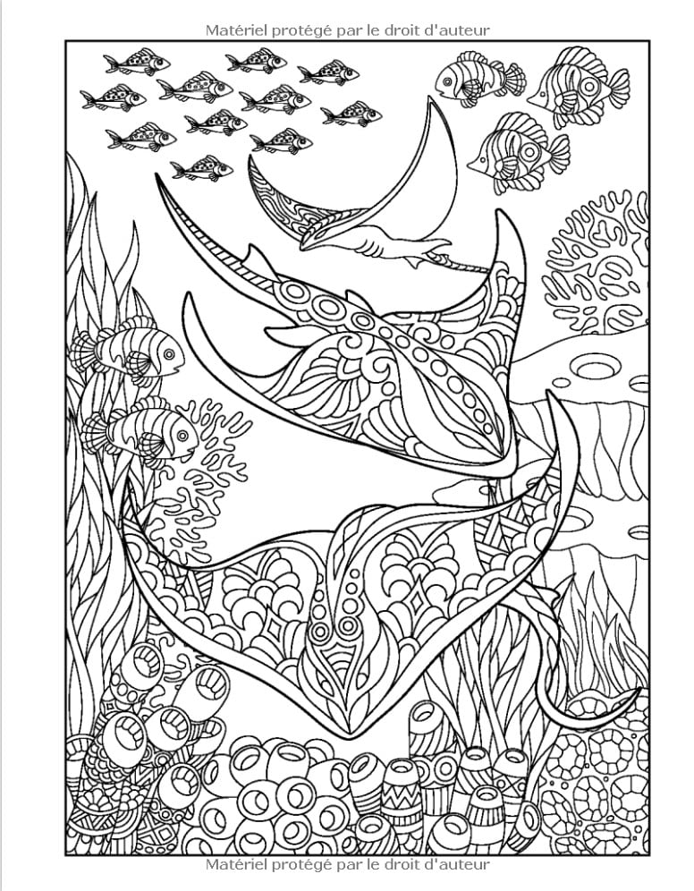 Océan - Livre de Coloriage avec Mandalas Livre de Coloriage pour Adultes avec Animaux Aquatiques et Plantes Marines. Livre de Coloriage Anti Stress - 128 pages Format A4