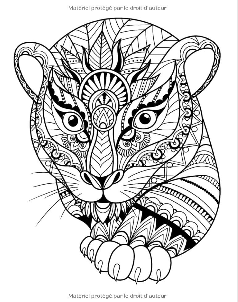 Animaux incroyables livre de coloriage pour adultes avec des dessins d'animaux relaxants en style mandala - 102 pages Format A4
