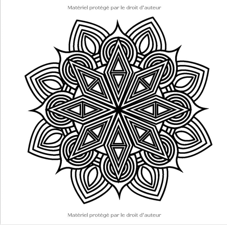 Anti-stress Détente Relaxation 50 MANDALAS A COLORIER Livre de coloriage adulte anti stress art thérapie - 102 pages FOrmat 21x21cm