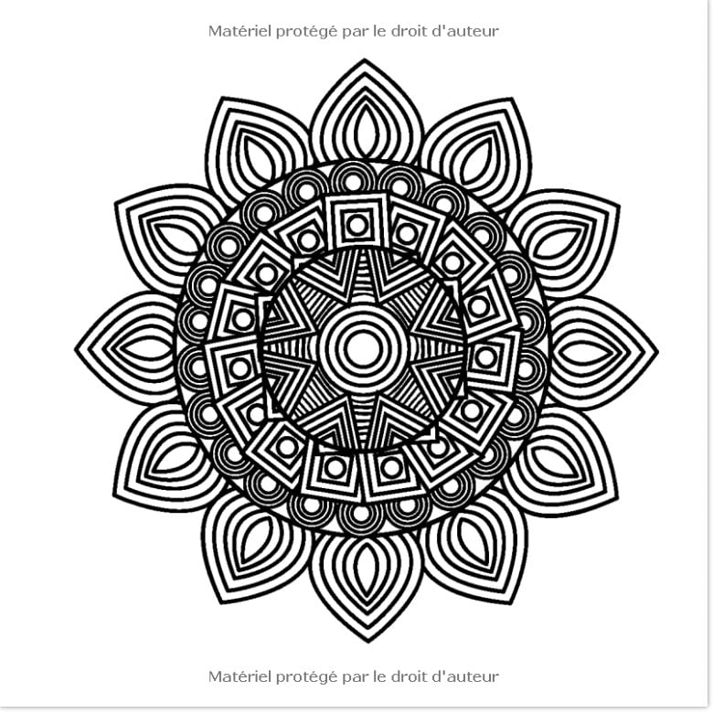 Anti-stress Détente Relaxation 50 MANDALAS A COLORIER Livre de coloriage adulte anti stress art thérapie - 102 pages FOrmat 21x21cm