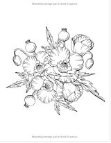 Coloriage Fleurs pour Adultes Livre de coloriage pour Femmes Adultes avec 50 Fleurs et Motifs Floraux - Tournesols, roses, fleurs sauvages - 100 pages Format A4