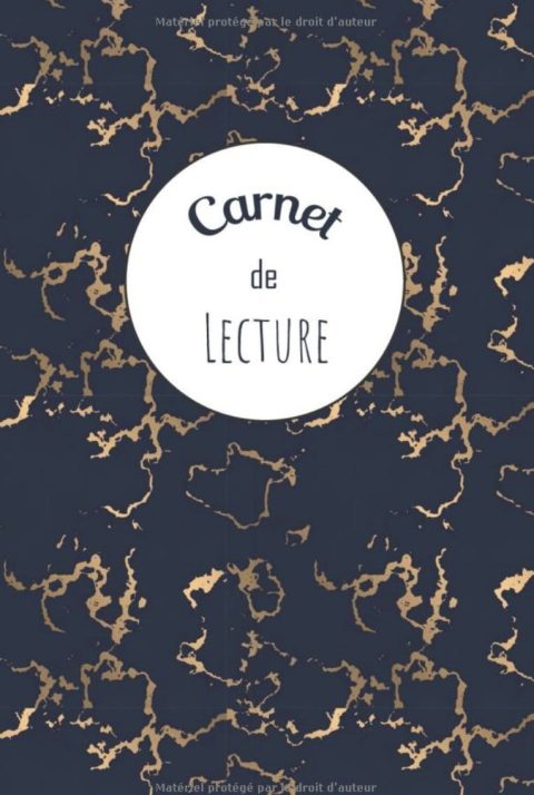 Carnet de Lecture Journal de Lecture  Amoureux des livres - 100 fiches lecture à compléter - 105 pages 15x22cm