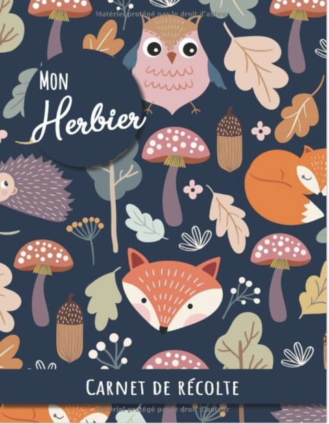 Mon Herbier - Carnet de récolte Carnet de recueil de feuilles et fleurs pour les amoureux de la nature et de la botanique. Adultes et enfants - 107 pages Format A4